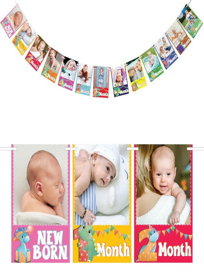WOBBOX Photo Banner Dino Theme 1 to 12 Month Banner, Photo Banners for First Birthday, Photo Banner New Born to 12 Months - Image 1